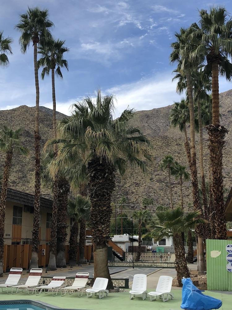 Desert Palm Springs