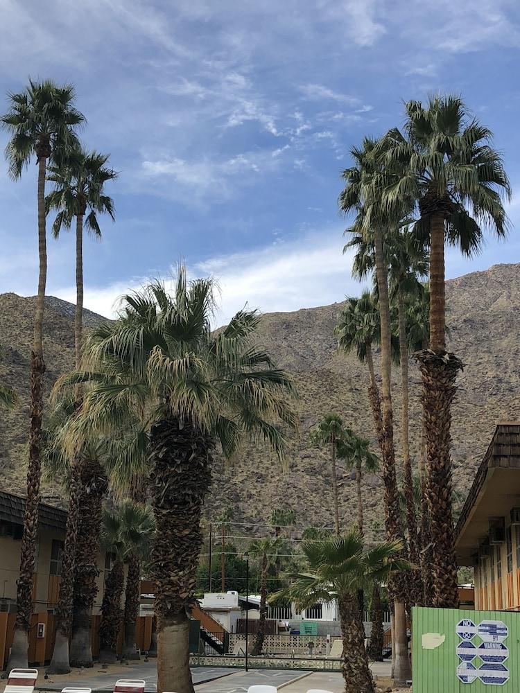 Desert Palm Springs